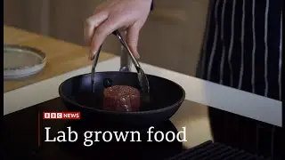 Lab-grown food could be sold in UK within two years (UK/(Global)) 10/Mar/2025