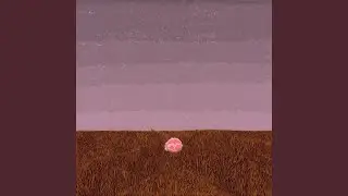 space orphan