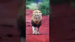 A King Is Not Born, He Is Made 👑 | Silent Power Motivation 🔥 #motivation #success #lifemotivation