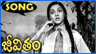 Jeevitham - Telugu Video Songs - Telugu Songs - Vyjayanthimala - Telugu Movie Bazaar