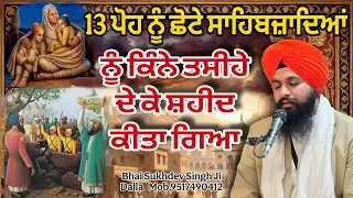 13 ਪੋਹ ਨੂੰ ਛੋਟੇ ਸਾਹਿਬਜ਼ਦਿਆਂ ਨੂੰ ਕਿੰਨੇ ਤਸੀਹੇ ਦੇ ਕੇ ਸ਼ਹੀਦ ਕੀਤਾ ਗਿਆ || bhai Sukhdev Singh Ji Dalla