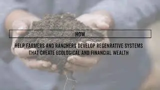Iowa Organic Association | Webinar  Perennial Fund - New Resources for Organic Transition Loans