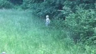 Forest Nymph emerges from the woods