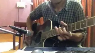Comfortably Numb - Pink floyd Guitar Solo on Acoustic guitar