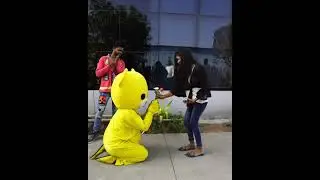 Cute teddy bear Proposing the girl 😍 jaan hai meri. #shorts #trending #prank #teddy_bear_prank