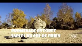 **FR et BR** *** PROMENADE EN FORÊT SABLES DU CUL DE CHIEN ***