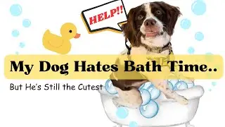 My Dog Hates Bath Time...But He's Still the Cutest!!! #cutedog #pets #funnydogs