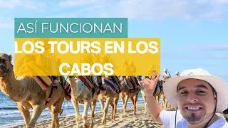 ❌ No reserves tours en Los Cabos sin entender este proceso (te puede salir caro)