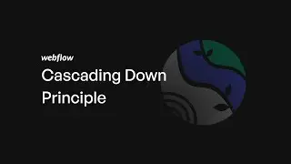 Webflow Beginner Series #4 | The Cascading Down Principle