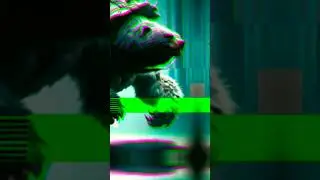 Bear And Turtle Hybreed #fusion #animalfusion #shortsfeed #hybrids #youtubeshorts