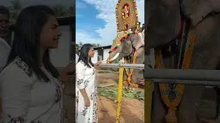 Varakkara pooram🦣🐘 #behappywithsree #minivlog