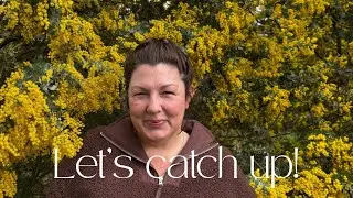 Let’s catch up!  Renovation update, mirror decor hack and sewing project.