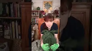 Trim the Tree with Cindi: Part 1 - Unboxing and Fluffing #christmastree  #tabletop #holidayseason 