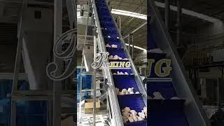 Packing system for frozen foods #machine #factoryproducts #factory#verticalpackingmachine #food