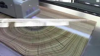 Wood Printer,uv led digital flatbed printer for wood,uv printing machine
