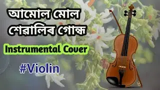 Amul mul xewali gundh - instrumental music | Loknath Goswami | Assamese Classic