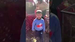 यात्रा पाथिभारा मन्दिर ताप्लेजुङ सम्मको । Journey to Pathibhara Temple, Taplejung.