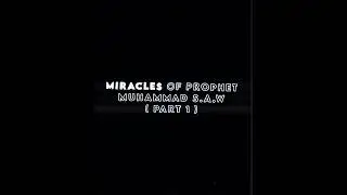 Miracles Of Prophet !! 💭💕 #islam#trending#shorts#shortsfeed#youtubeshorts#islamic#allah