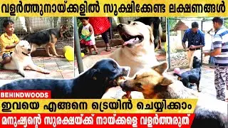 വളർത്തുനായ്ക്കളിൽ സൂക്ഷിക്കേണ്ട ലക്ഷണങ്ങൾ ഇതൊക്കെയാണ് Laze Media Praveen Explain