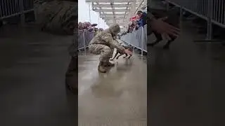 🥰 The sweetest welcome: Dog greets soldier Homecoming joy unleashed