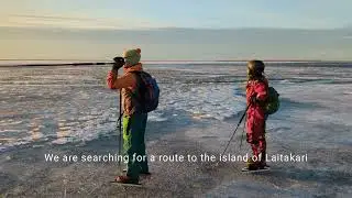 Nordic Skating on Sea Ice. 26th of December 2025