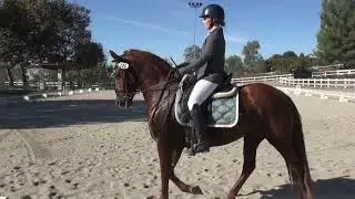 Avonlea & Christina Ranes - First Level, Test 1 - ICC Fall CDS Rated Show 2024