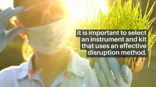 Best Practices: Extracting RNA From Leaves for qPCR [MP Biomedicals]
