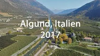 Algund, Italien 2017 | Tree Brothers