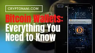 Bitcoin wallets everything you need to know