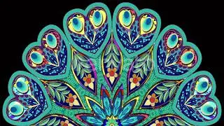 Peacock Feathers by  Visualtwistindia | Videohive | Loop |