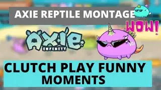 New highlights axie reptile, funny moments
