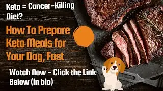 Healthy Homemade Keto Dog Food for Your Senior Dog + Meal Prep