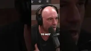 False Charged By Bear Joe Rogan #shorts