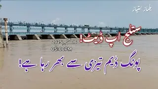 Sutlej River Update | Pong Dam Level Rising Above Danger Mark | Flood Risk Alert