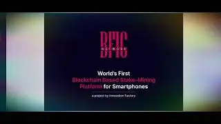 BFIC Network Full Plan Presentation.