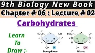 Carbohydrates| Monosaccharides| Draw Structure of Ribose & Deoxyribose| 9th Bio New Book| Chap no 6