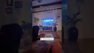 Dogs Reacting to TV Will Make You Laugh 😂🐕