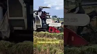 harvest time #nature #harvest #waterfield