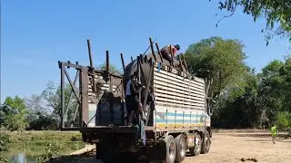 ฝึกพลายน้อยขึ้นรถ