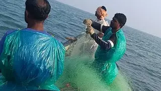 Odisha Fishing videos and Fisherman Fish Catching in odisha sea 