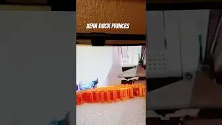 Xena the princes warrior Duck version 3dprinting timelapse #buildingstuff #3dprinting #xena