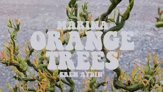 MARINA - Orange Trees (slowed down)