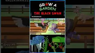 [Grow A Garden] New Secret Pet BLACK SWAN Animation #growagarden #roblox #animation