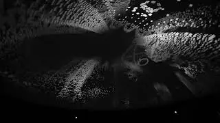 CAPTURES - By Echoes of Archs (Full Dome @ Digital Dreams Festival)
