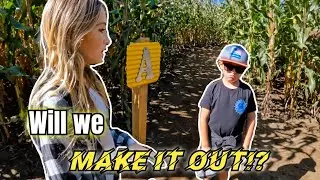Stuck in New Englands Largest Corn Maze//Great Vermont Corn Maze