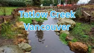 Tatlow Creek Vancouver Rain
