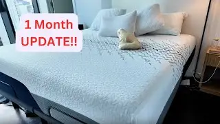 Nectar Mattress Review | 2 Month Update (Is It Worth It?)
