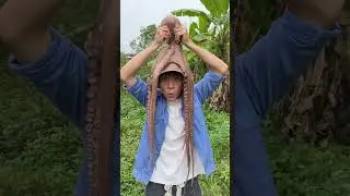 十几斤的海怪八爪鱼你吃过吗？一个字：真香！#MoTiktok #Fyp