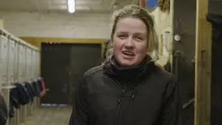 Stabile Stallansatte hos Stall Helgestad