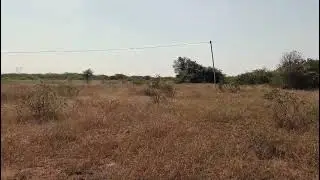 36 acers land for sale near hindupur (naveen) surya kiran property's 9550451389